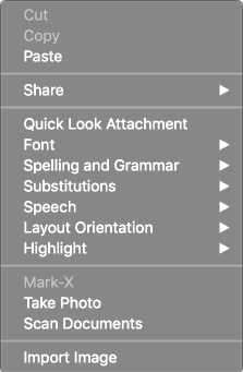 Text pane, no text selection, pop-up menu Text pane, no text selection, pop-up menu